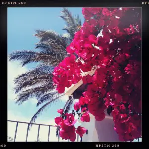 Ibiza luxury garden paradise hotel tropical