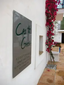 Ibiza luxury hotel celebrity destination design Cas Gasi