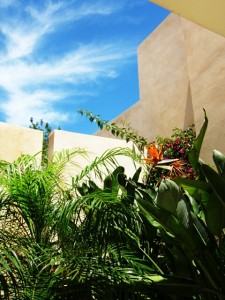 Ibiza luxury garden paradise hotel tropical