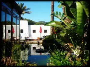 Ibiza Atzaro exterior tropical Luxury Holiday Destination