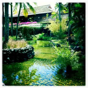 bali tropical gardens luxury hotel melia