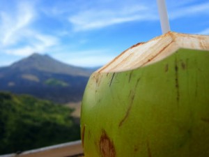 Bali Ubud Seminyak scenery view coconut