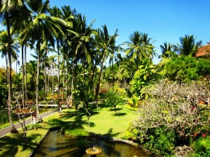 tropical gardens melia luxury hotel