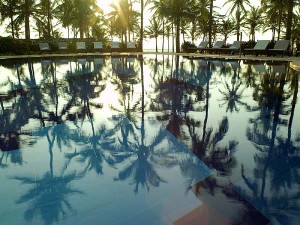 holiday village goa pool palmtrees