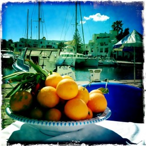 harbour satsumas fruit