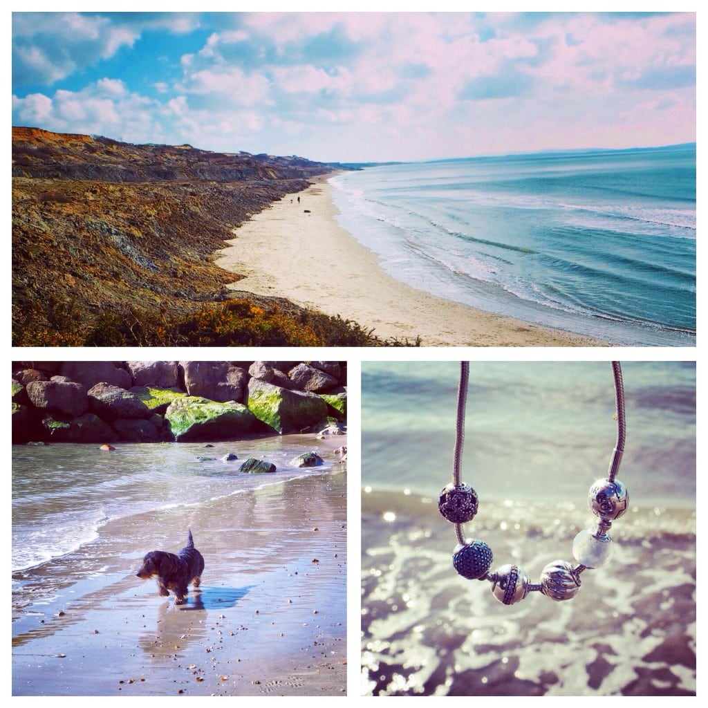 Pandora Chewton beach