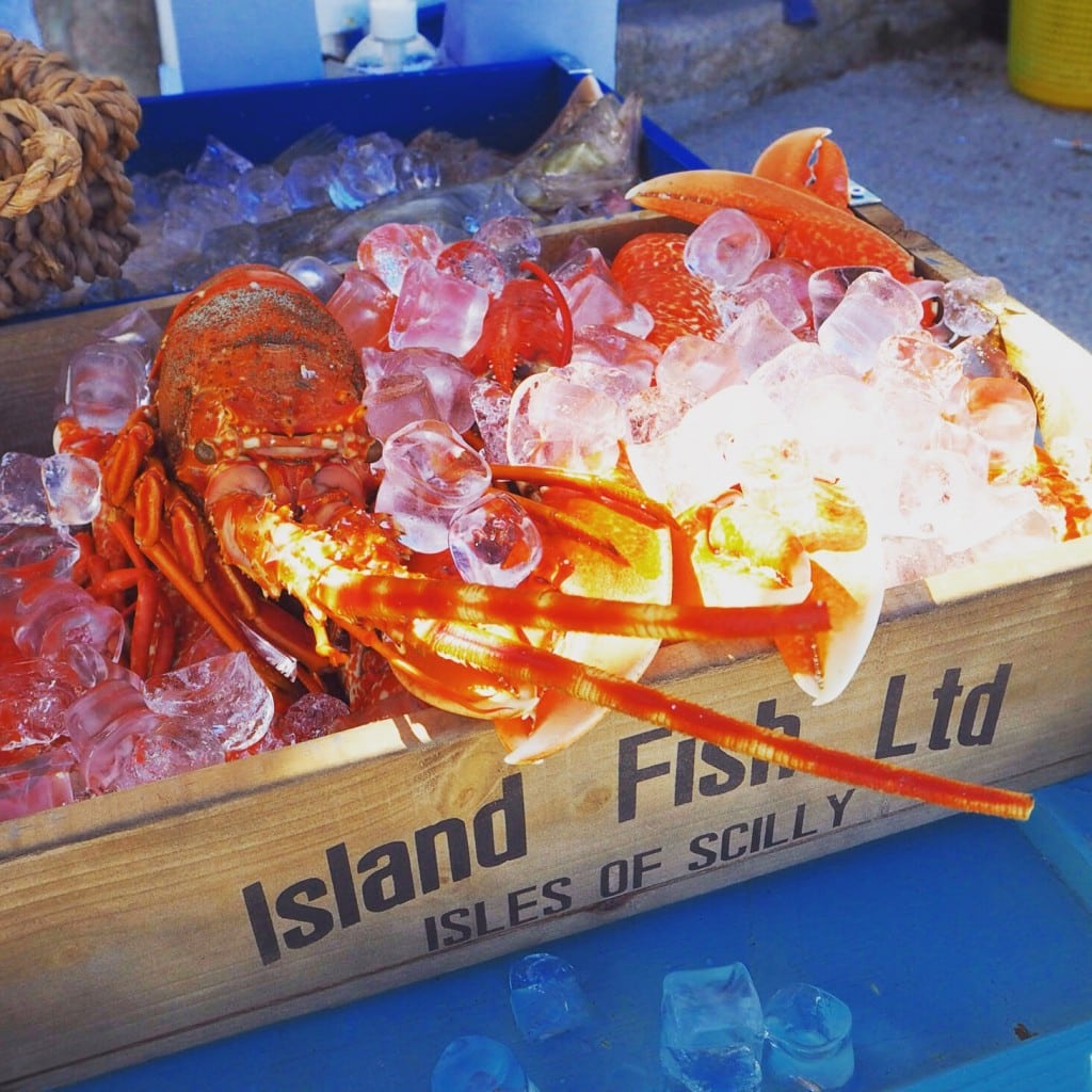 Island fish scilly Isles