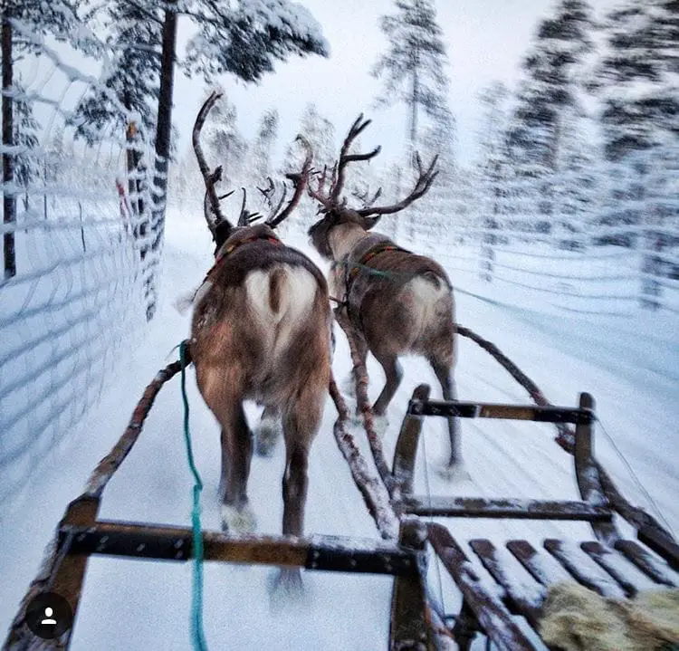 Reindeer sleigh ride Ice hotel