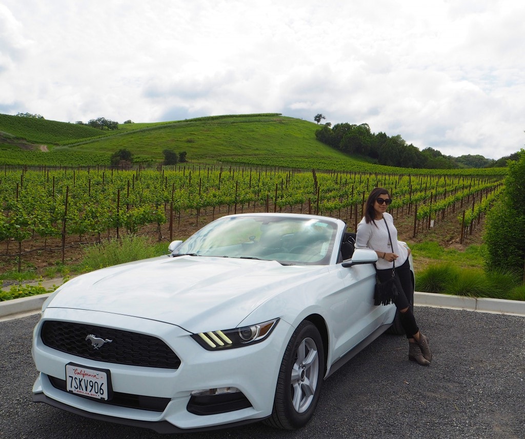 The Style Traveller Bonnie Rakhit Mustang