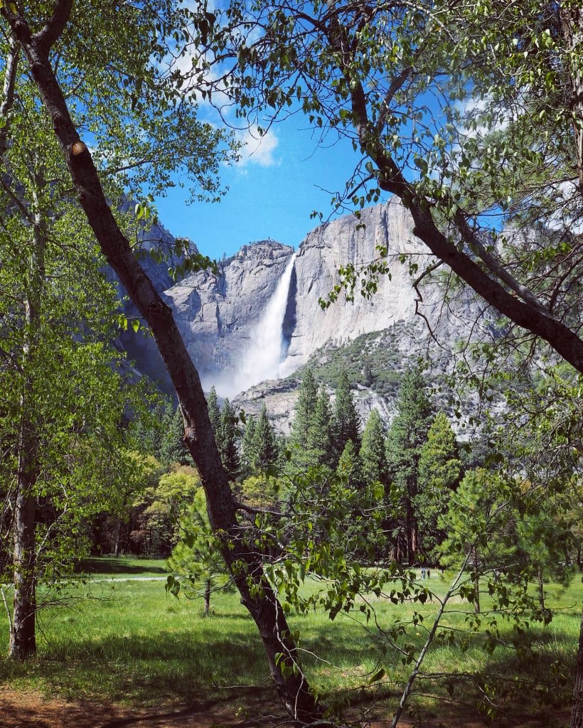  Yosemite-National-Park-California-Road-Trip