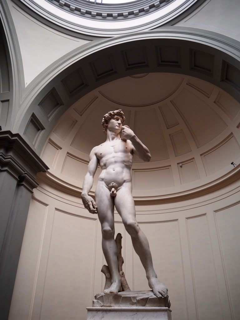 David Statue Michelangelo Florence