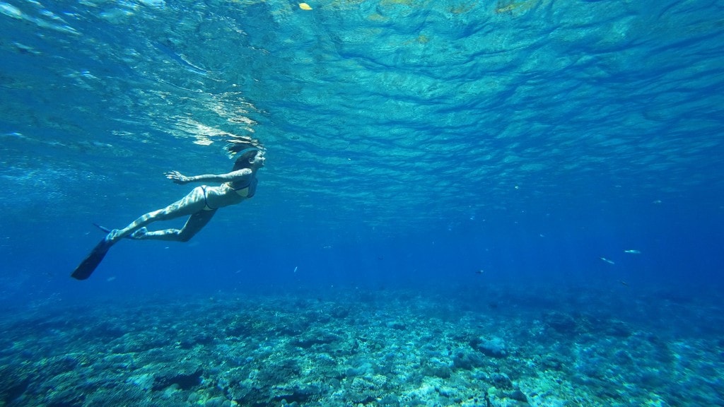 The style traveller mermaid diving