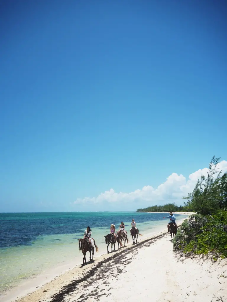 cayman Islands beach horse riding