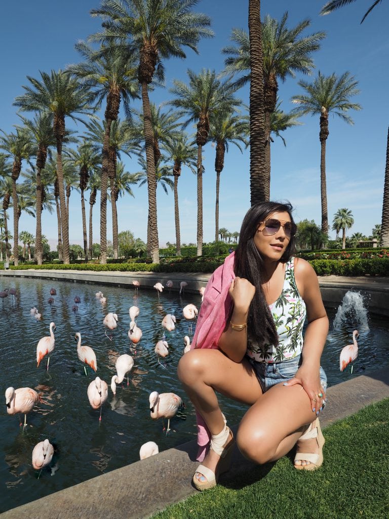 bonnie rakhit flamingos and jw marriot hotel palm springs