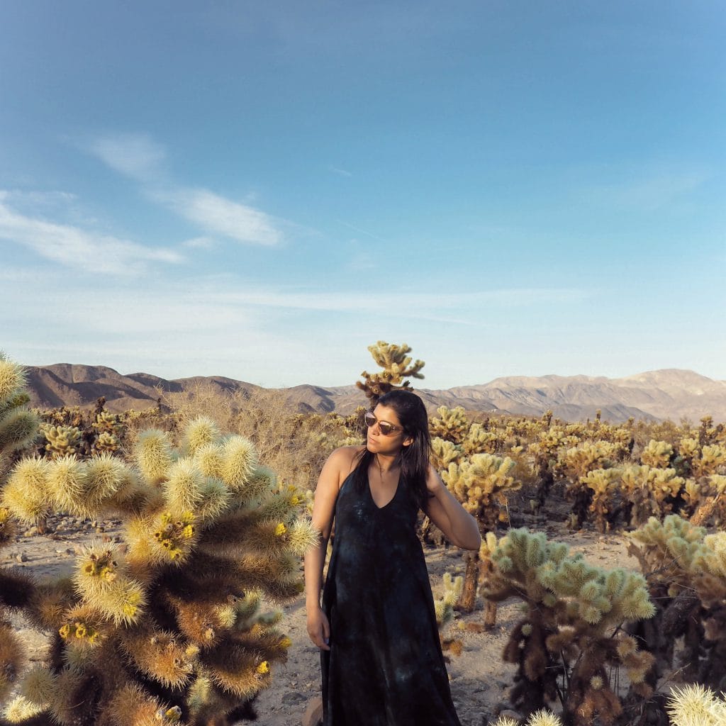 Bonnie rakhit palm springs joshua tree national park california road trip cactus