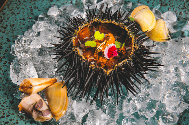 Belmond Copacabana Palace Hotel, Rio Brazil, best hotels lunch at Pergola restaurant urchin