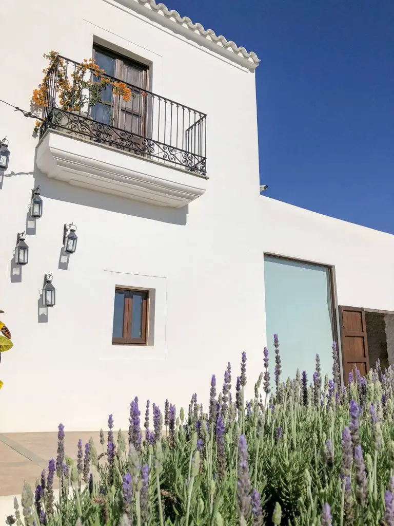Bonnie Rakhit style traveller Casa Maca Ibiza finca hotels