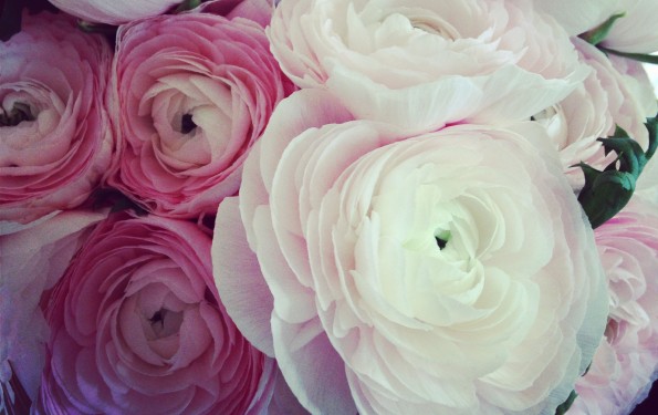j crew flowers 2