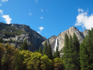 Yosemite-National-Park-California-Roa-Trip-hiking