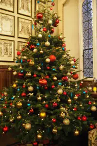 Ellenborough park christmas tree