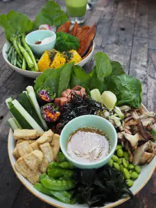 shadie shacks salad bowl Bali Canguu