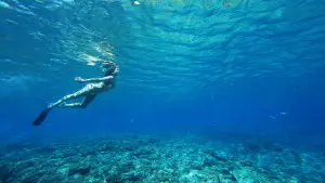 The style traveller mermaid diving