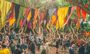 portmeirion festival no 6 win tickets competition in the woods