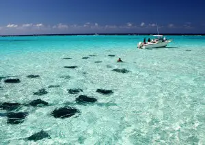 Cayman Islands boat trip Cayman Islands Sting ray city