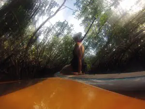 mangrove paddle boarding bermuda bonnie rakhit style traveller x