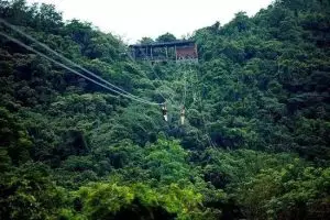 zip line forest hainan china