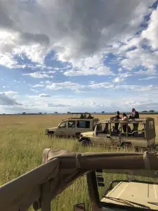 Fairmont jeeps on best luxury masai mara safari tour