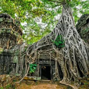 Angkor wat avani hotel cambodia best sites to visit tomb raider film location