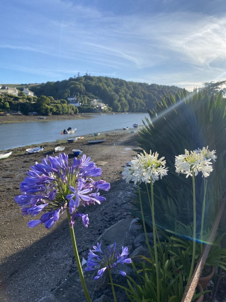 boating in Noss Mayo where to stay in Devon