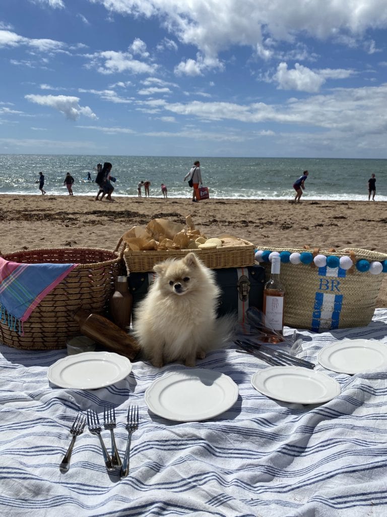 beach picnic what to do in Devon