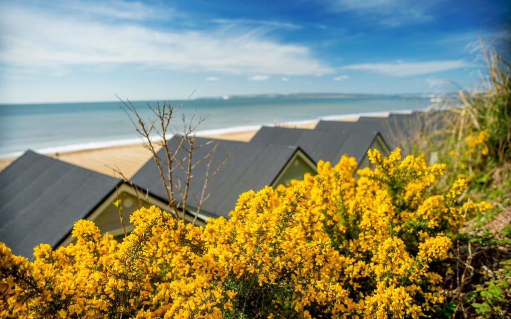 The Perfect UK Staycation Bournemouth beach lodges