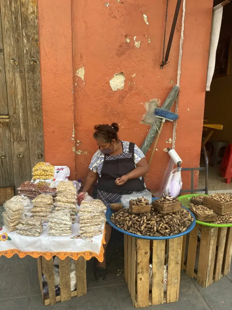 street food in Oaxaca