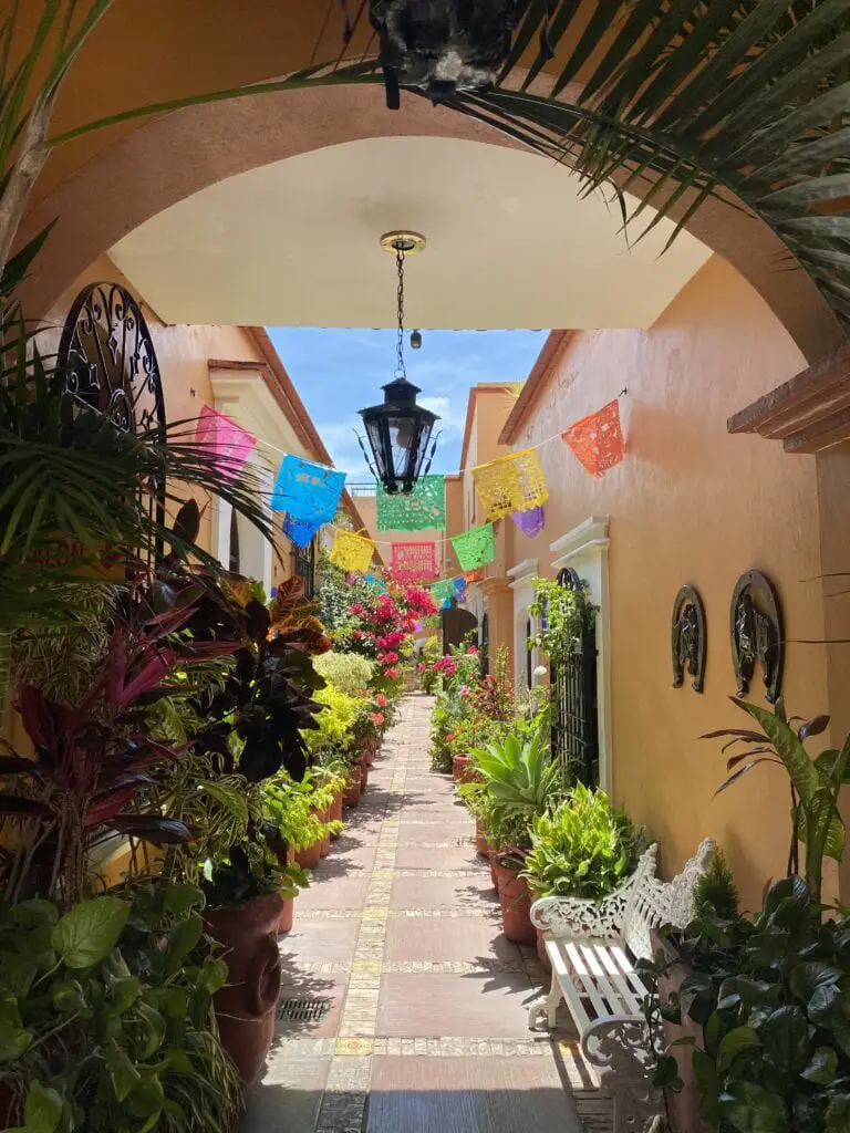 Oaxaca beautiful colourful streets