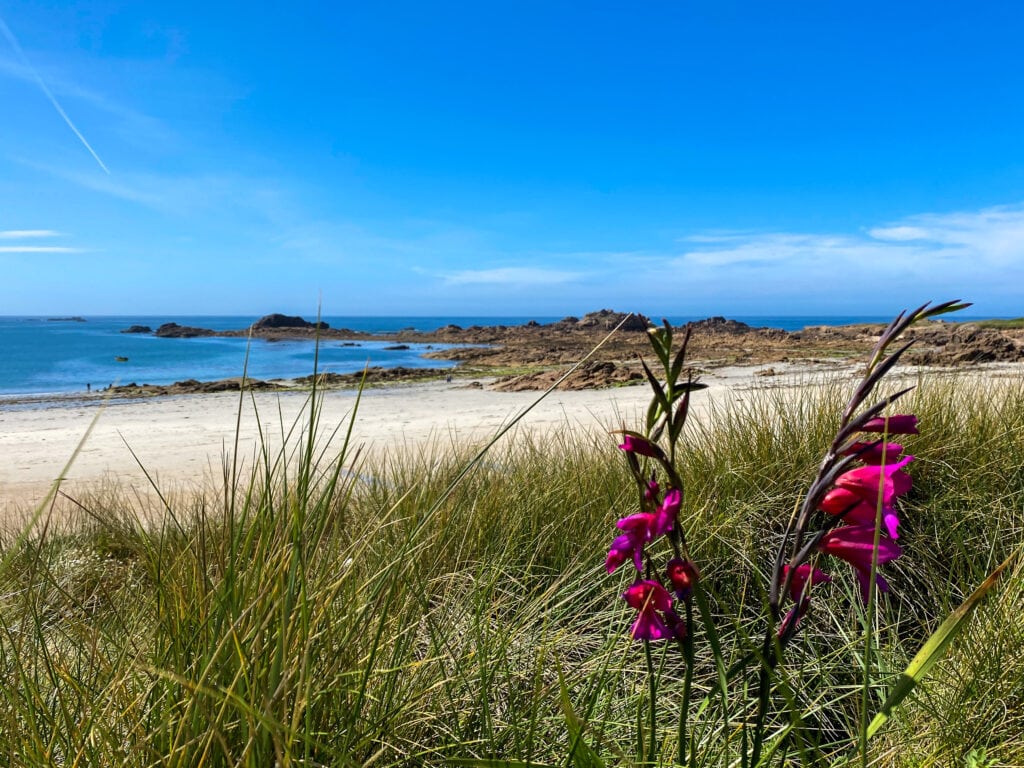 Enchanted princess Guernsey day beach