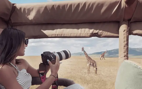 Luxury Guide to Stylish Safaris Bonnie Rakhit