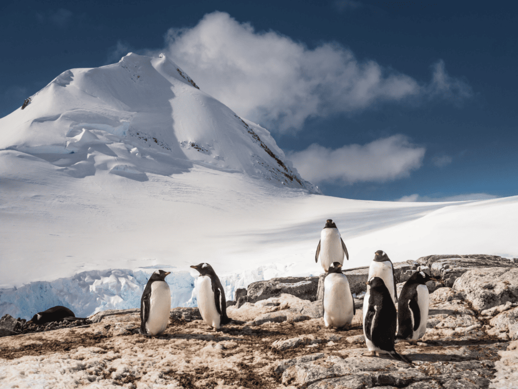 A luxury travel guide to Antarctica